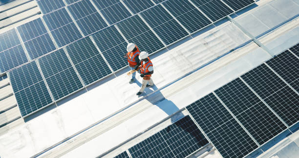 Best Roof Moss and Algae Removal  in Sa Loma, CA